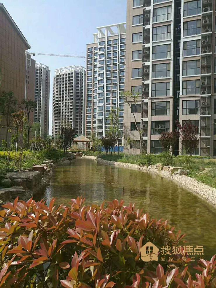 桓台齐韵韶苑最新规划详解，初学者与进阶用户的步骤指南