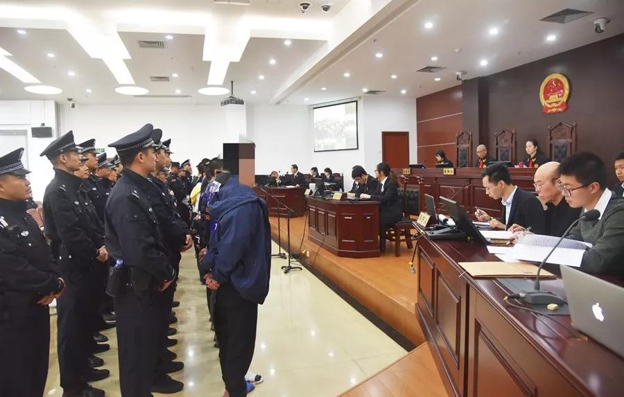 福清平潭财哥最新视频聚焦，探寻成功之路与热门内容速递