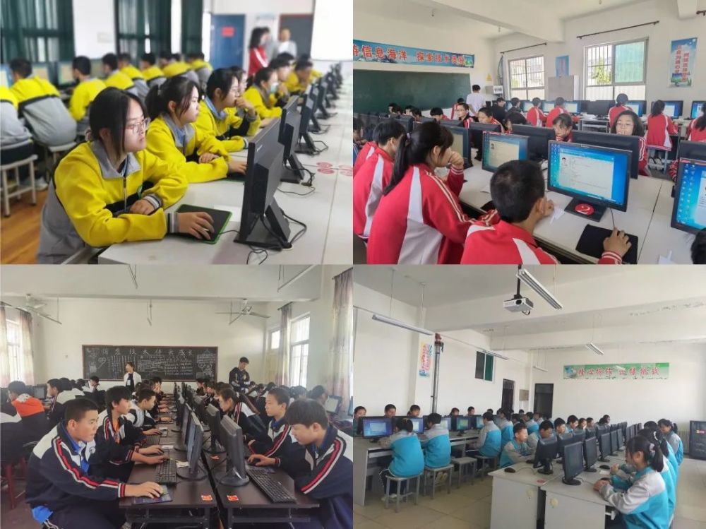 杨予东最新指南，任务完成与技能学习步骤攻略