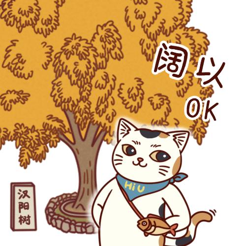 第903页