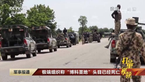 博科圣地最新动态，极端组织的演变与挑战