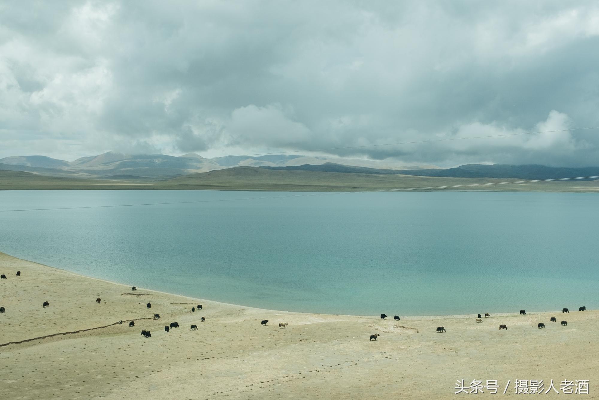 最新QQ手机版下载，探索自然美景，重拾内心平静之旅
