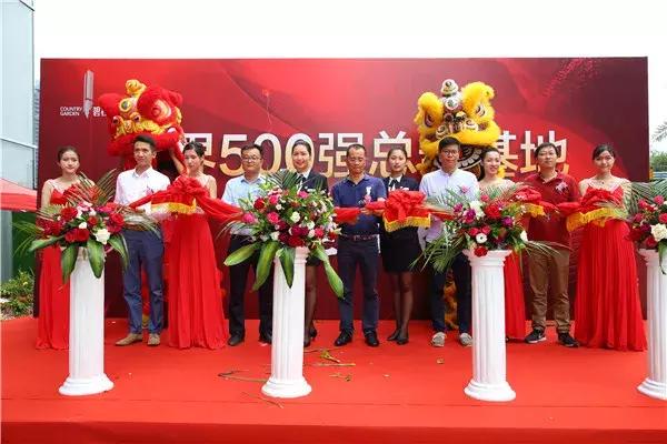 碧桂园最新楼盘，时代印记与品质的完美融合