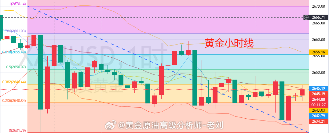 黄金最新分析走势，科技与生活的融合展望