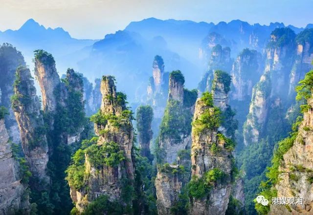 张家界最新疫情动态，变化中的力量与学习带来的自信与成就感
