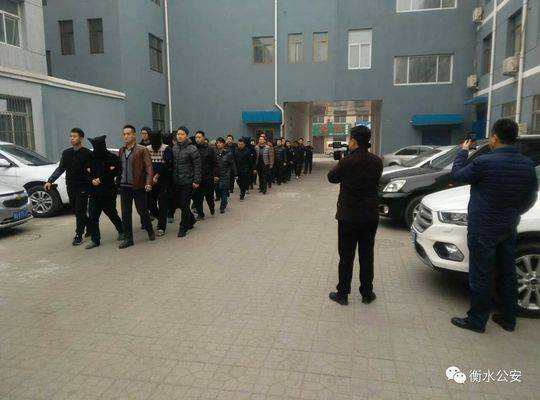 衡水最新案件及其深度分析