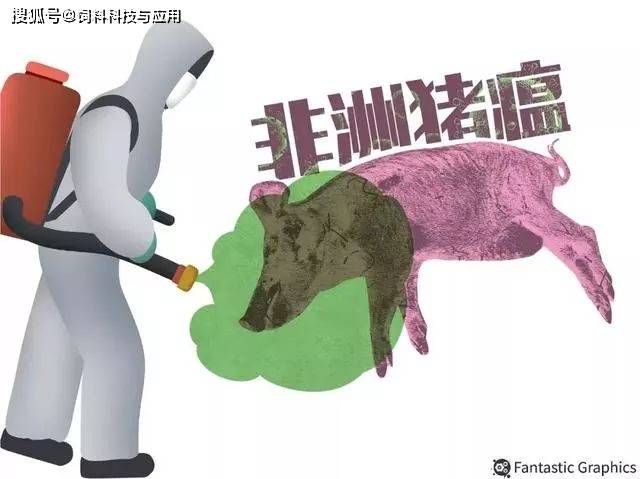 非洲猪瘟最新动态，背景、进展与全球影响深度解析