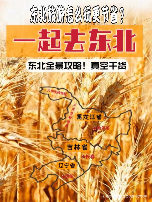 沈阳疫情最新动态与小巷深处的特色小店探秘
