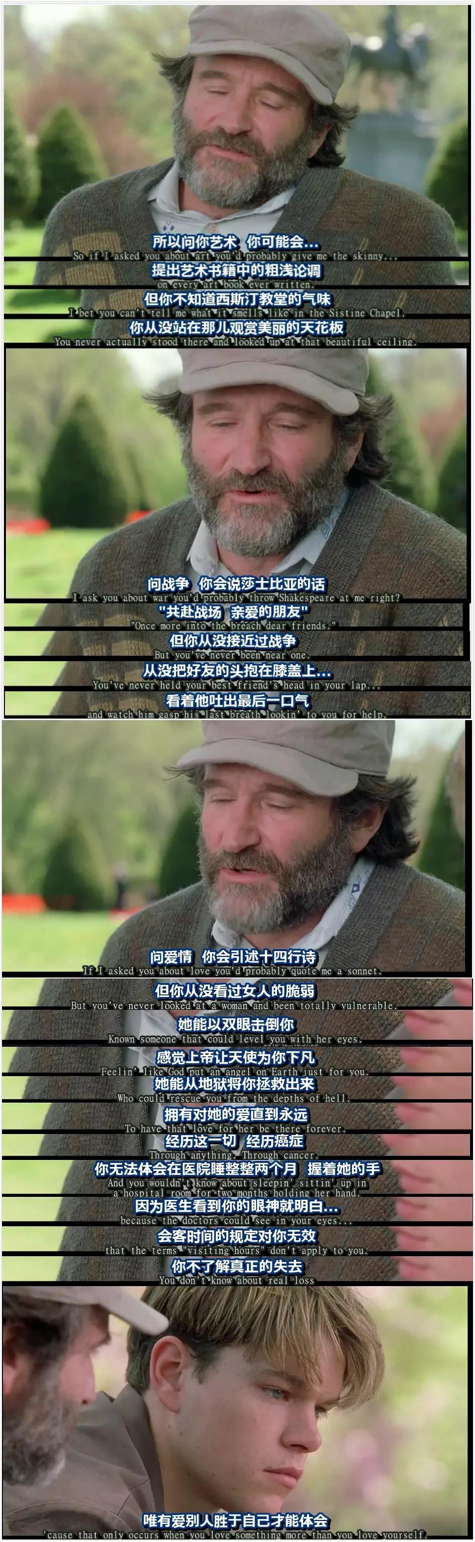 最新电视剧热播，心灵与自然的完美之旅